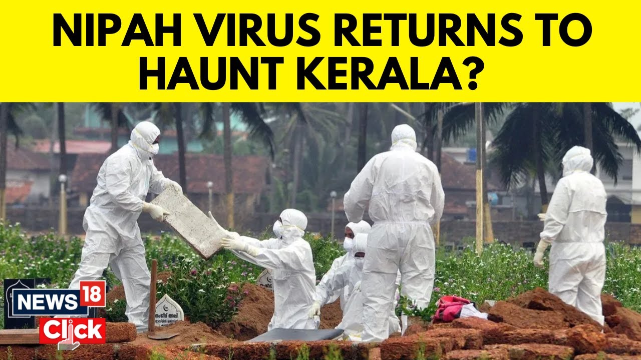 Kerala News | Nipah Alert Sounded In Kerala After Two 'Unnatural' Deaths Reported | News18 | N18V