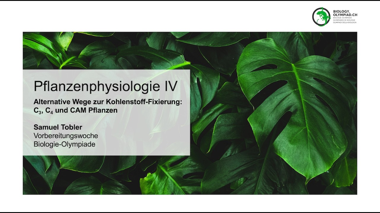 Alternative Wege zur Kohlenstoff-Fixierung: C3, C4 und CAM-Pflanzen (Planzenphysiologie IV)