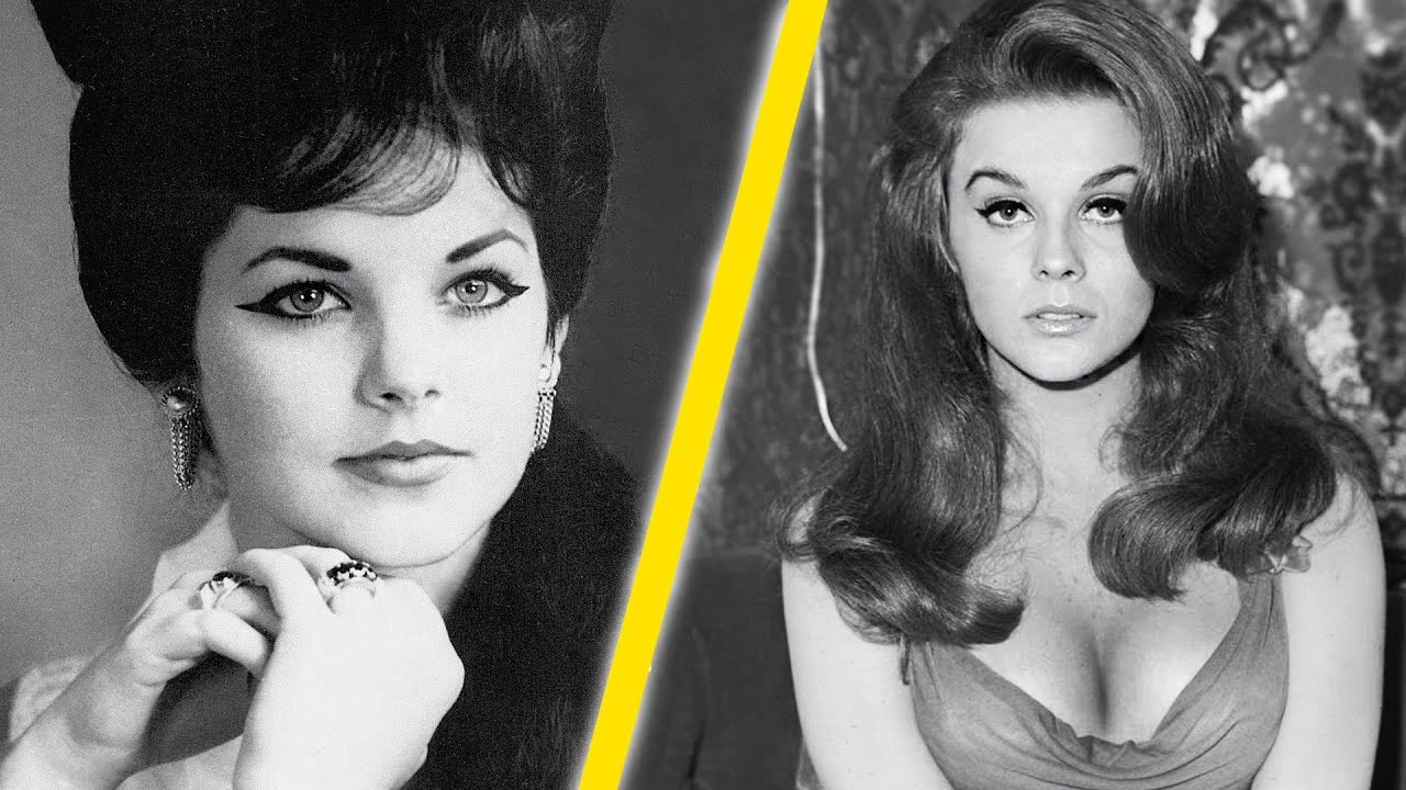 Who would be the Better with Elvis, Priscilla or Ann-Margret?