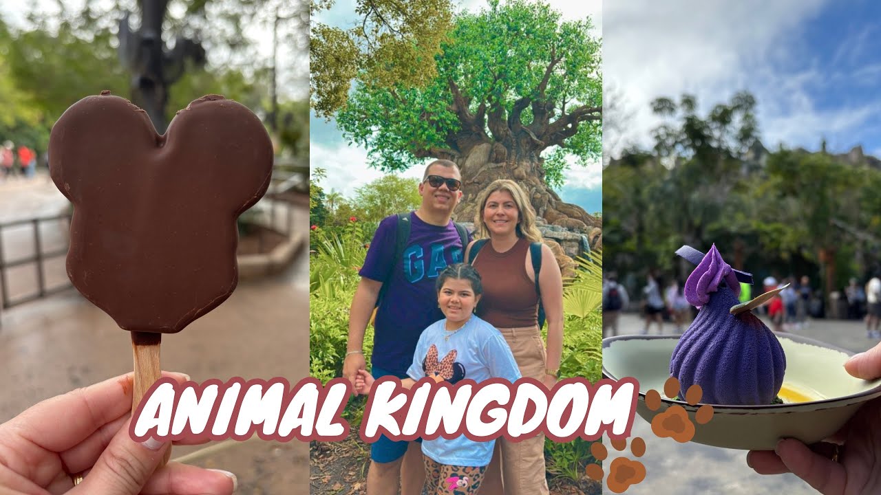 Vlog: Animal Kingdom | Disney Orlando - Estados Unidos - Dezembro 2024
