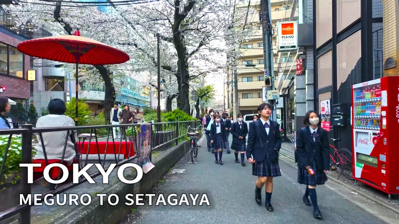 Прогулка Из Мэгуро в Сетагая Токио Япония | 4K HDR/Binaural - From Meguro to Setagaya