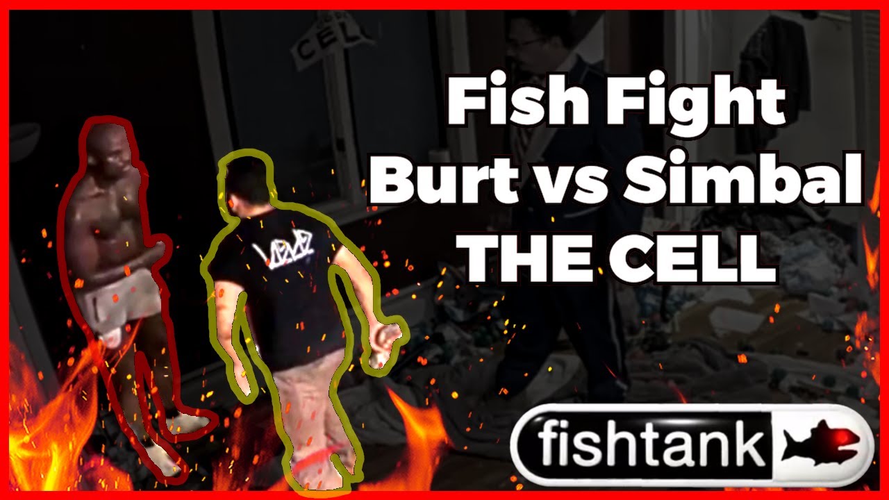 Burt vs Simbal FULL BATTLE The Cell Fishtank S3 Day 15