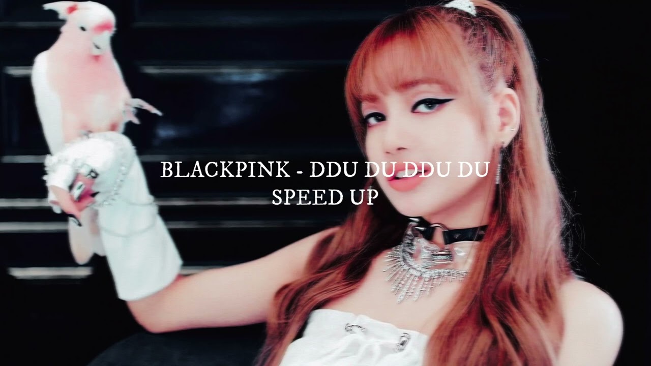 BLACKPINK - Ddu Du Ddu Du (sped up)