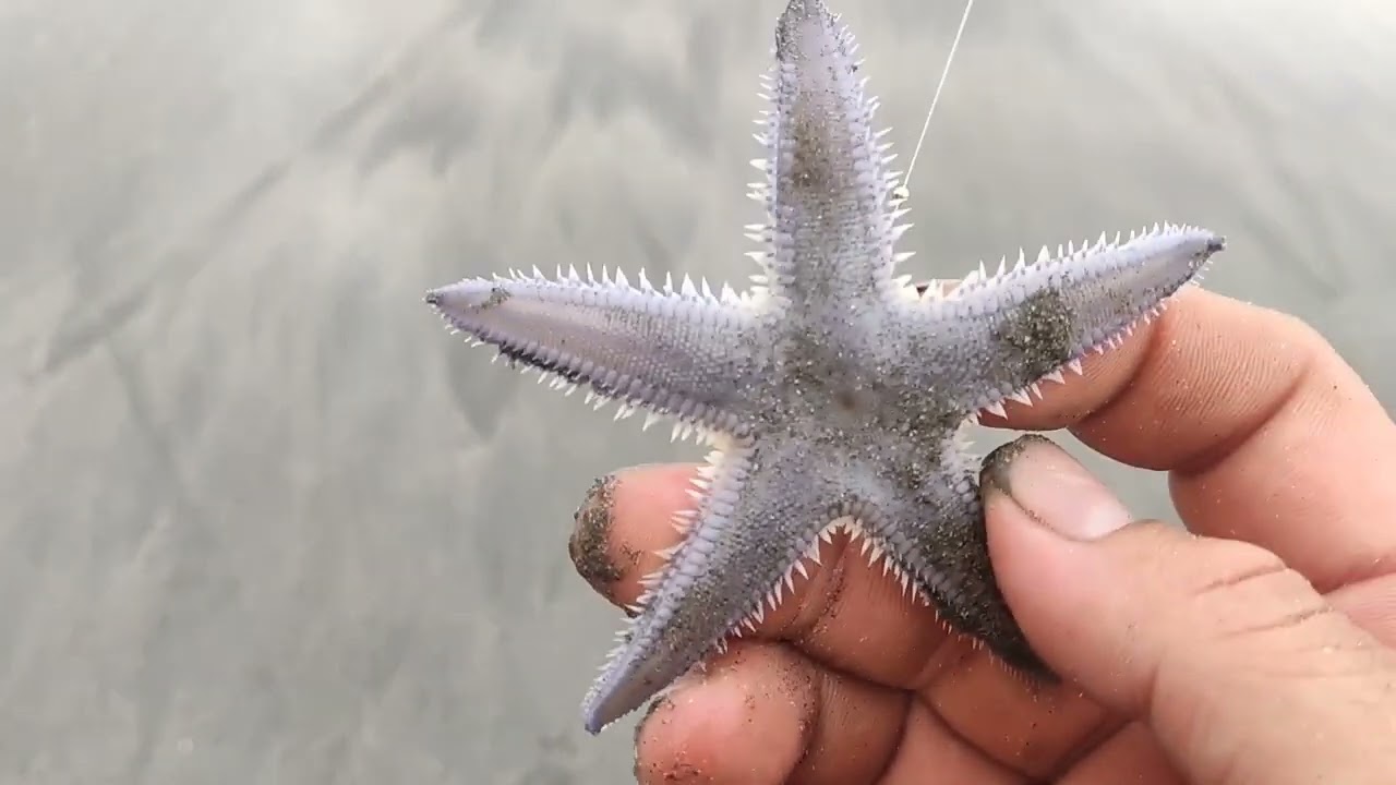 コジーさん初登場！一緒に釣りをしてみた。