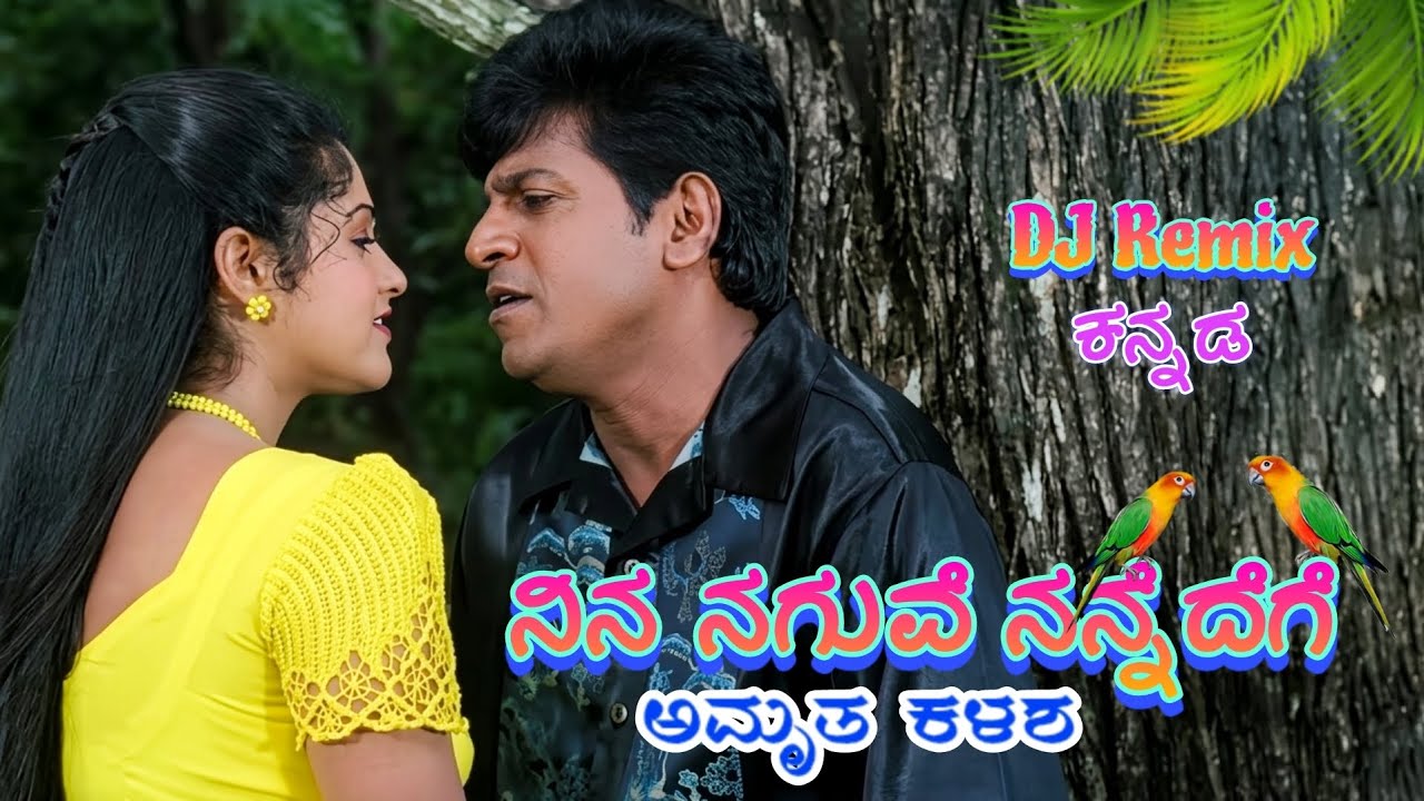 Nann Preetiy Devateyu | ನಿನ್ನ ನಗುವೇ ನನ್ನದೇಗೆ ಅಮೃತ ಕಳಶ | Dj Song Kannada | Pavii Remix |