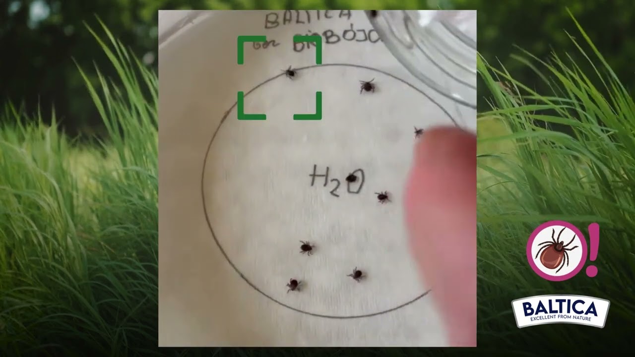 Jak działa Spray Spacerowy Baltica - obejrzyj!