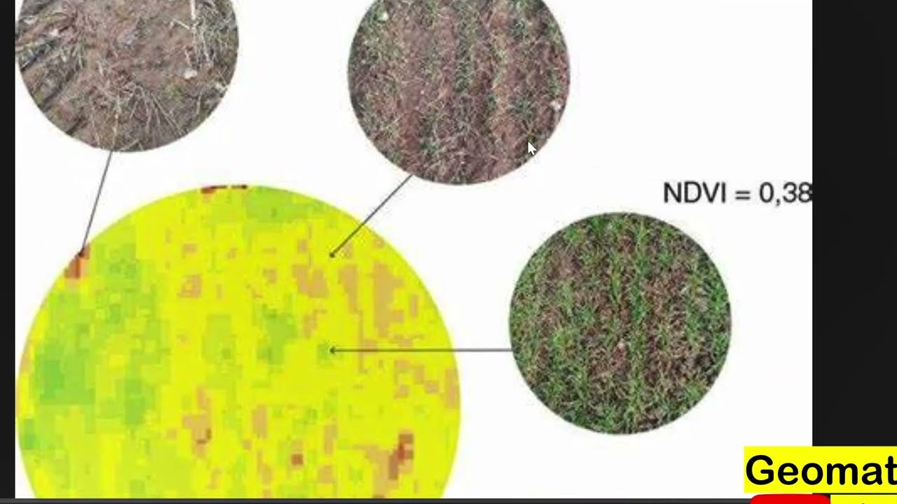 How to Calculate NDVI, NDWI, EVI & More Spectral Indices in ArcMap | Landsat & Sentinel Imagery