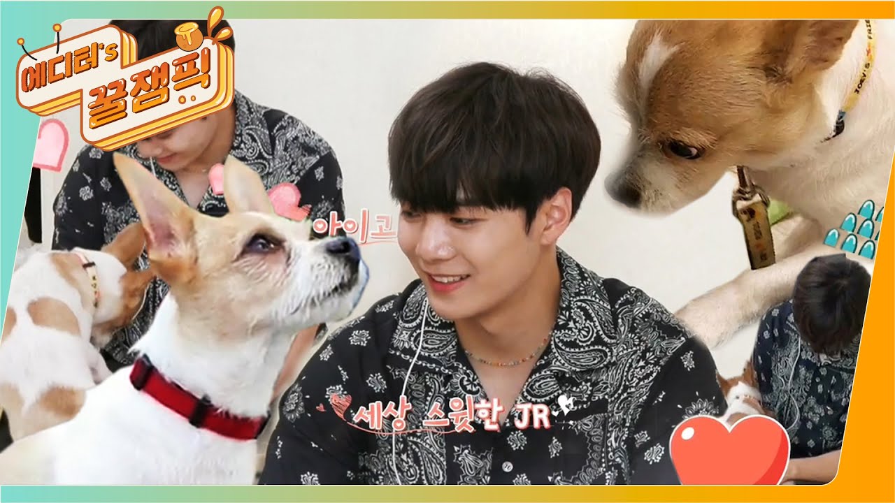 [에디터's 꿀잼Pick] (최소 러브...☆) 소문난 ‘폭견’이 ‘애완견’이 되는 #JR 매직! ㅣ KBS방송
