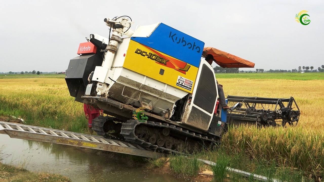 Perfect Action Rice Harvesting Machine Working Skills Cropping Rice At Rice Farms Cambodia