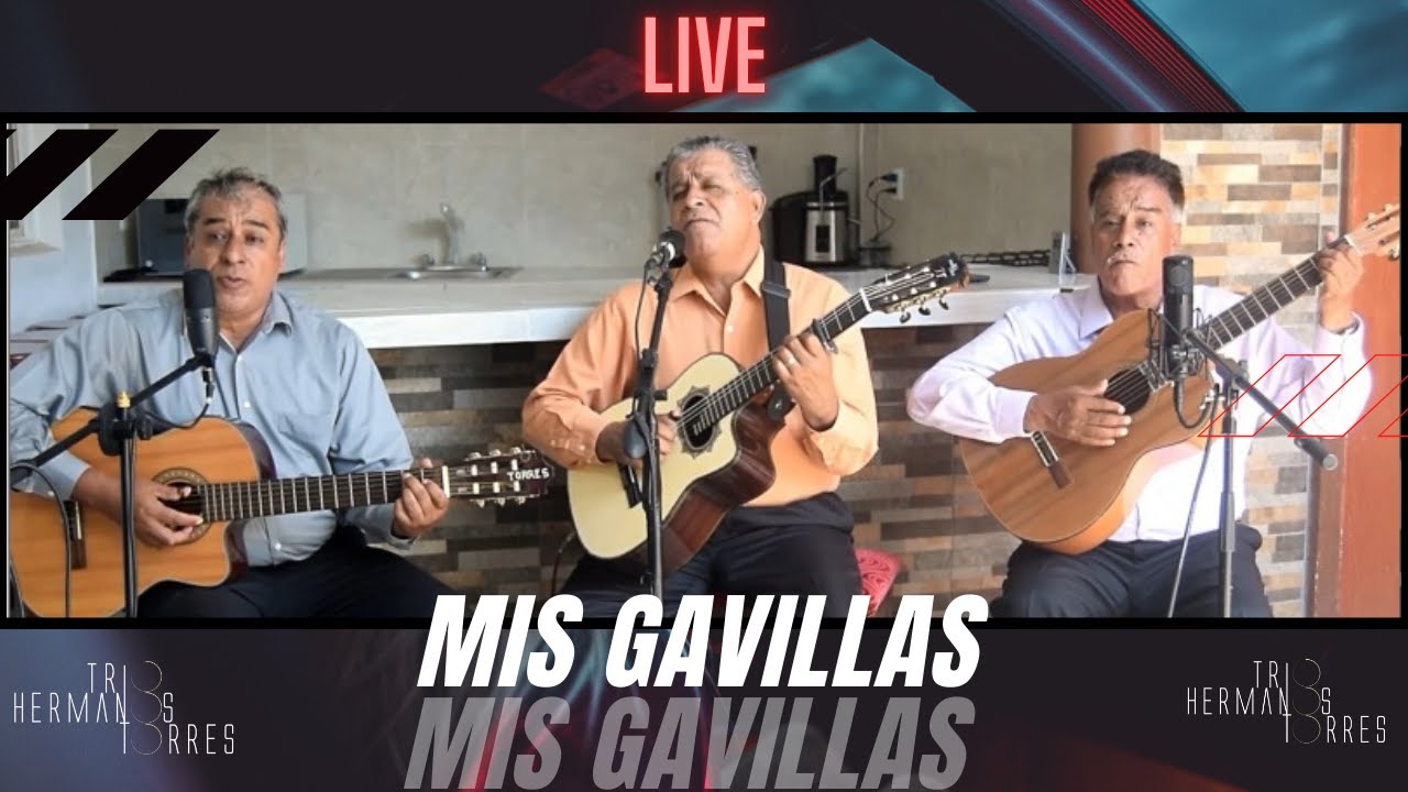 Trio Hermanos Torres - Mis Gavillas (Live)