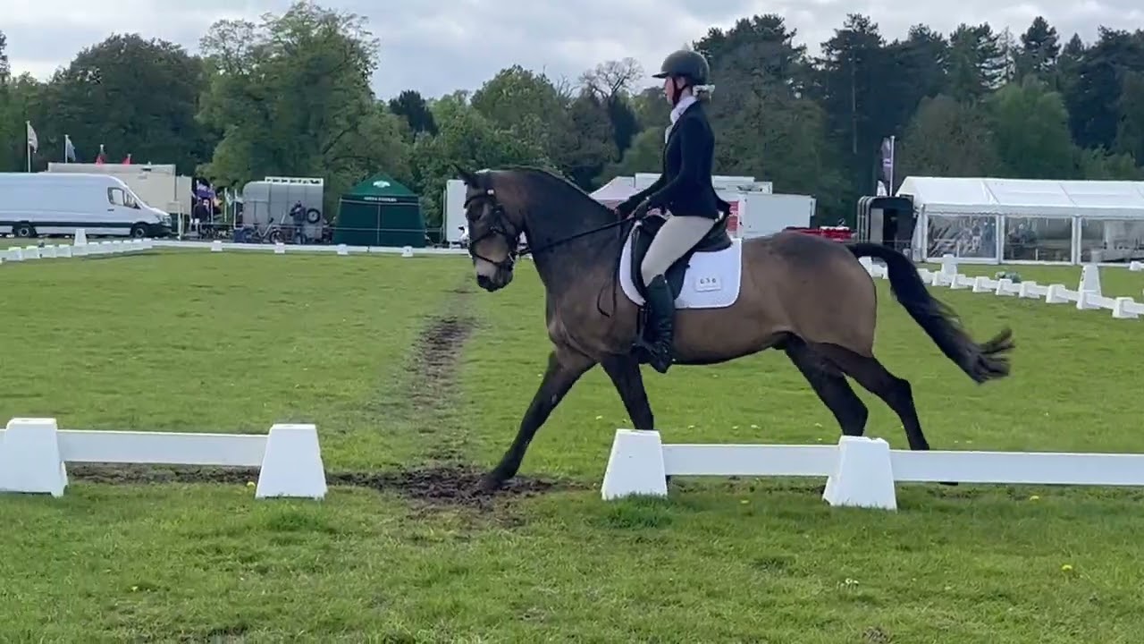 Rock Tempo dressage Osberton 2*P 2024