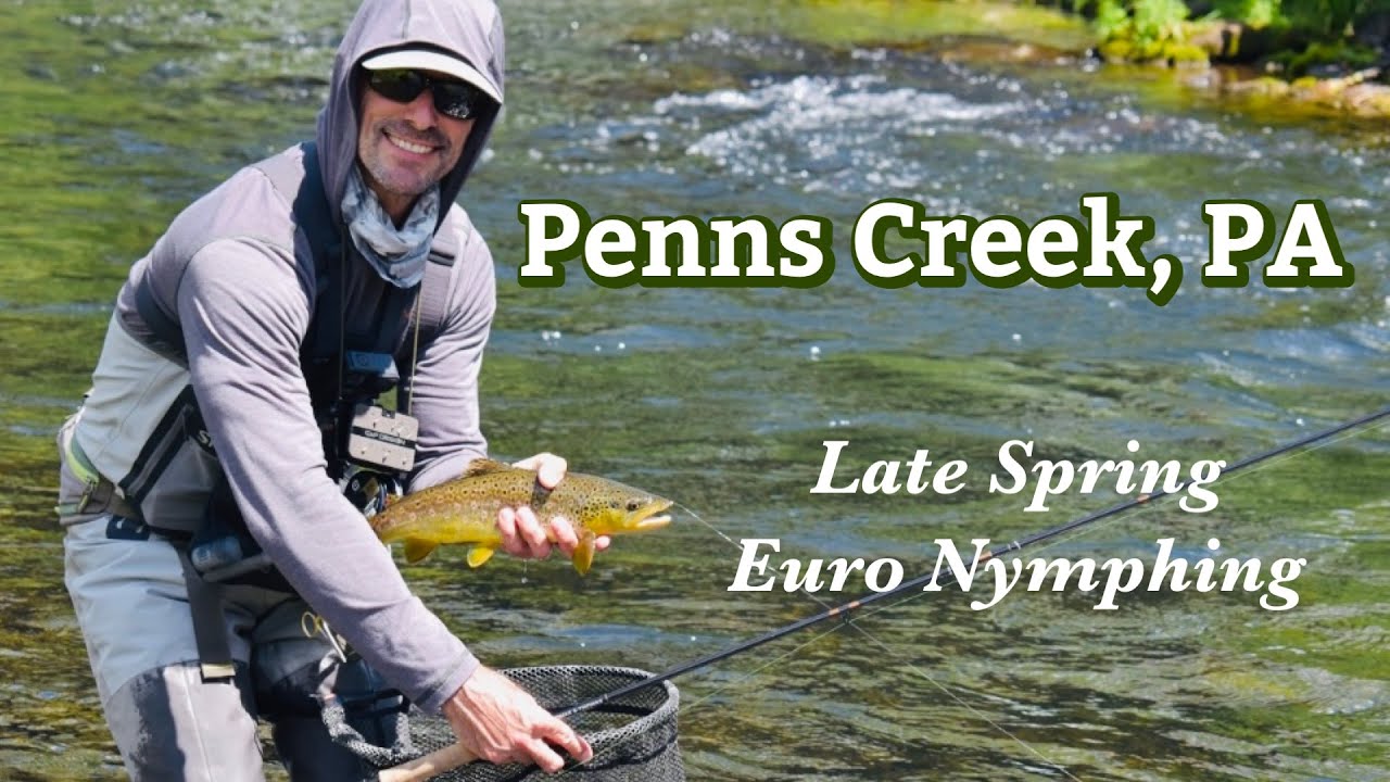 PENNS CREEK: Euro Nymphing Central PA's Brown Trout