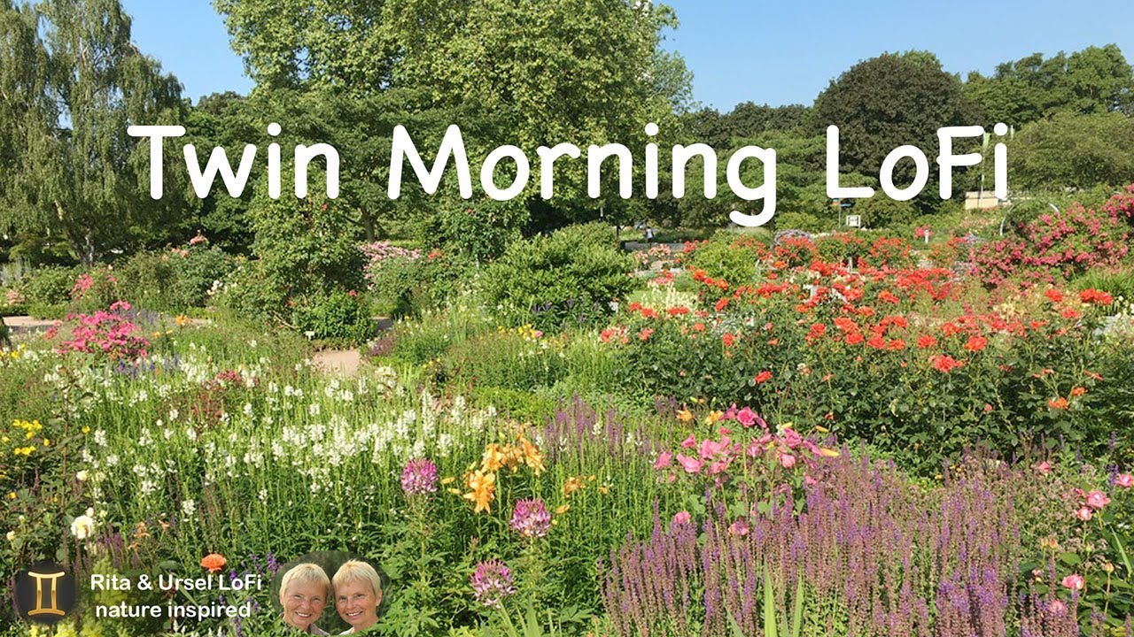 Twin Morning LoFi – gentle beats from a blooming garden for a colorful start to the day.