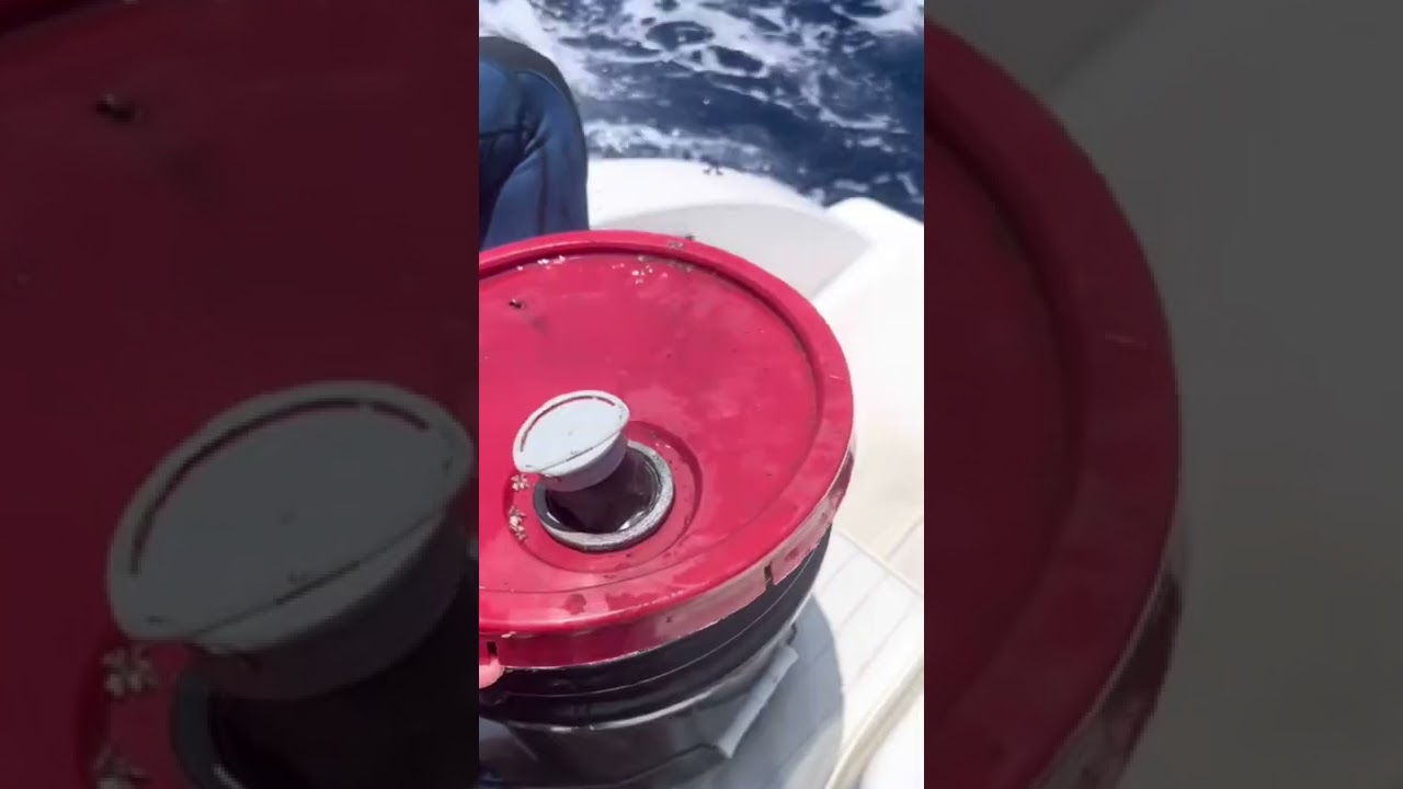 Petroleum in the ocean! #ocean #dive #pollution #oilspill #shorts