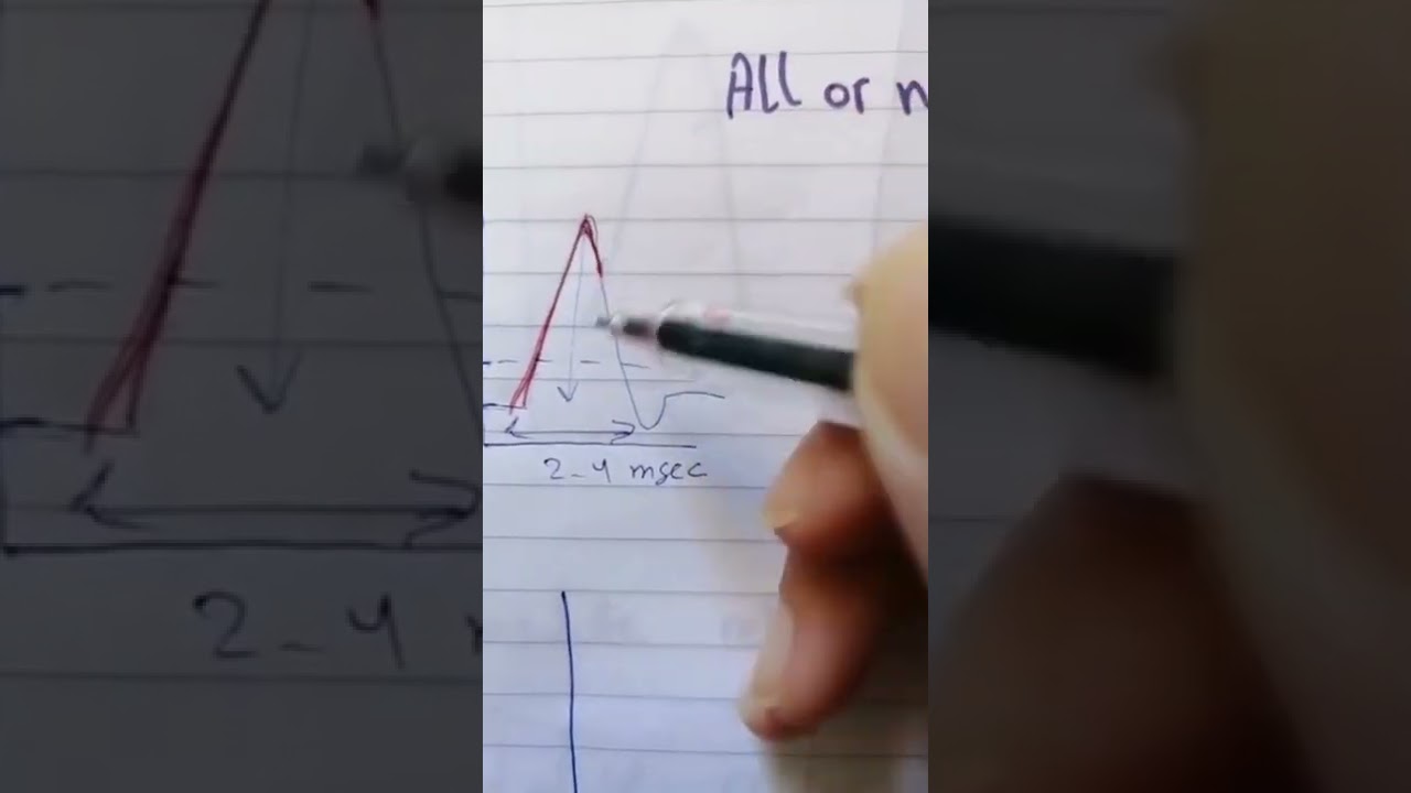 action potential 9 - graded potential - dr. Amira Azzazy