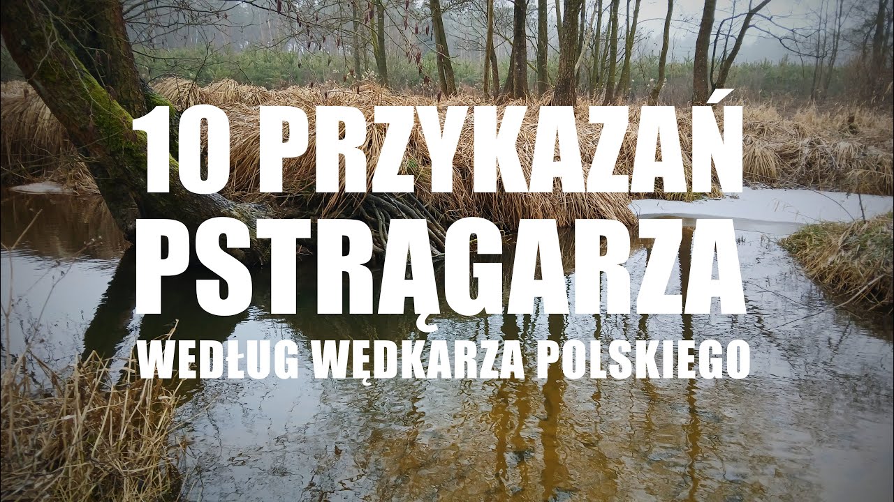 10 przykazań pstrągarza - jak łowić pstrągi wg. Antoniego Tondery | archiwum Wędkarza Polskiego
