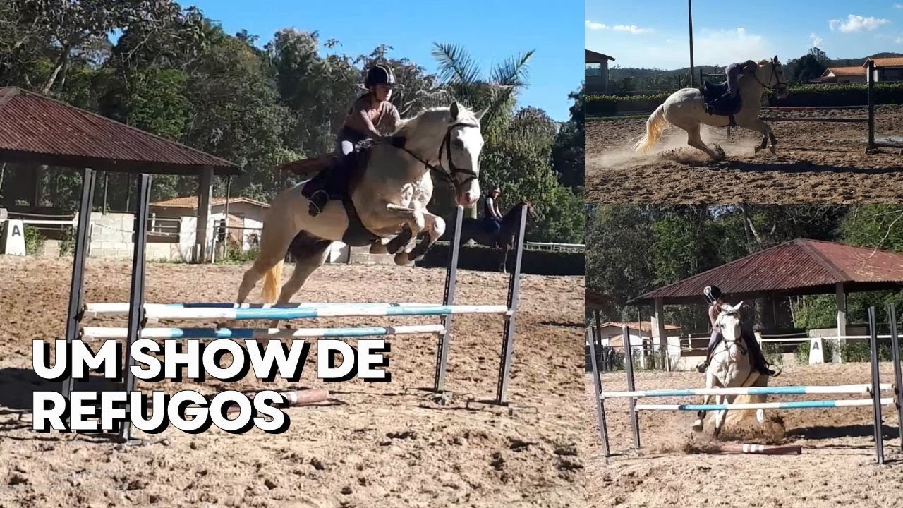 [VOICEOVER] UM SHOW DE REFUGOS - Treino de Hipismo