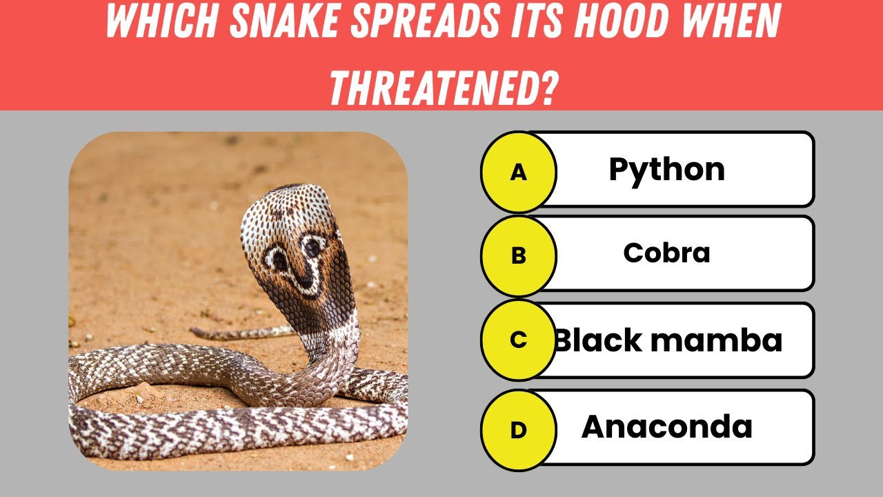 🐍 Snakes Quiz | 20 Deadly & Fascinating Snake Questions