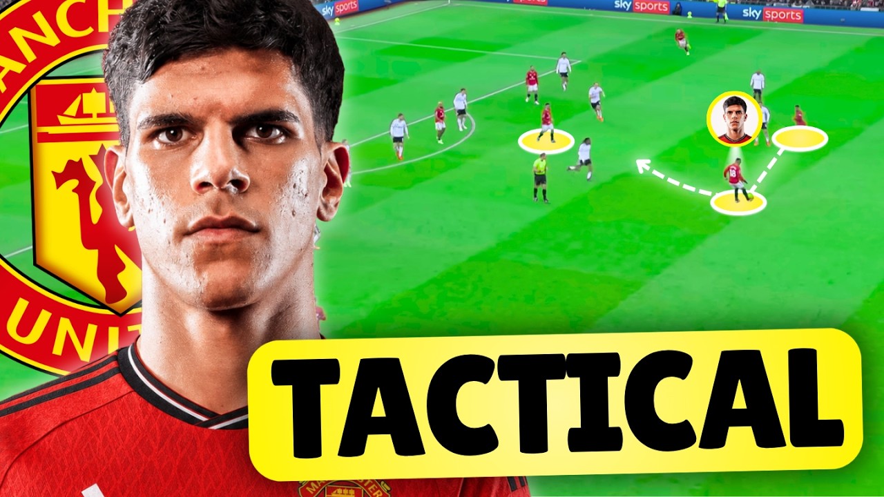 How Would Mateus Fernandes Fit In At Manchester United!?
