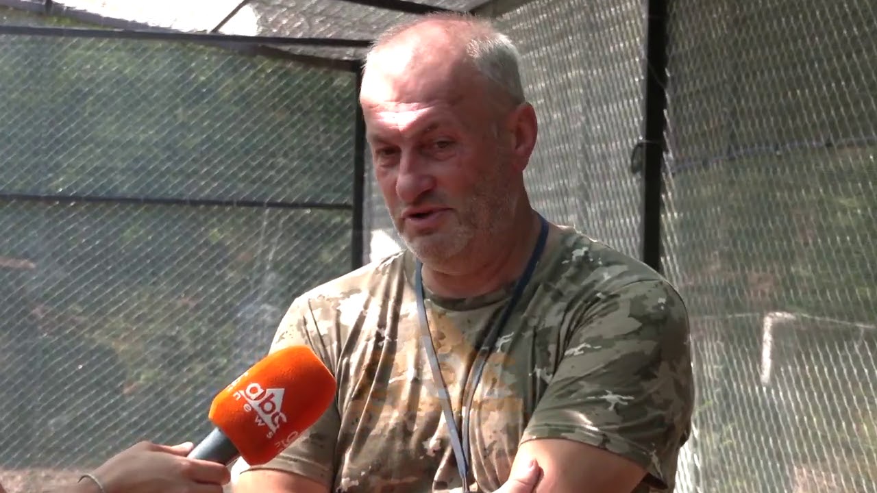 Shpendet e egra ne qendren e rikuperimit, Birdwatching ne parkun e Divjakes  | ABC News Albania