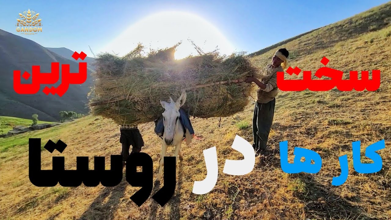 سخت ترین کارها در روستا چیست؟ کشه آوردن یکی از آنهاست#دوبیتی هزارگی