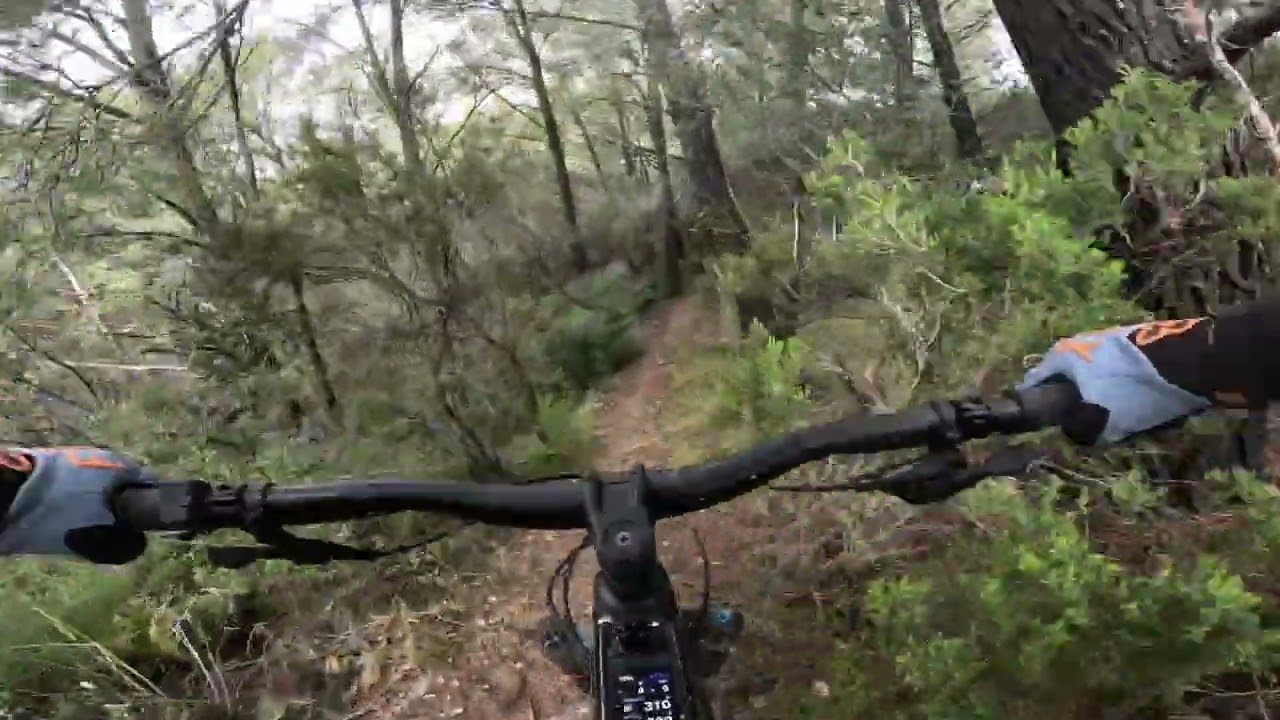 El Sendero 