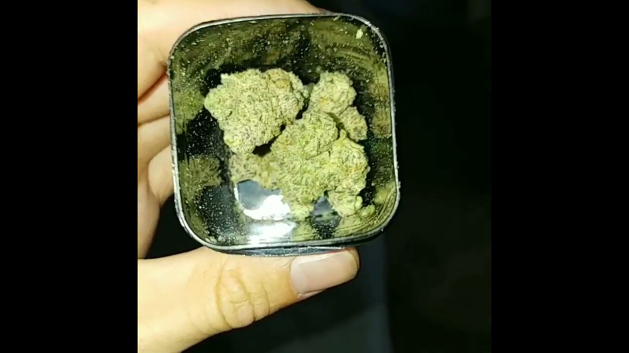 kush mints 😍😍🤤
