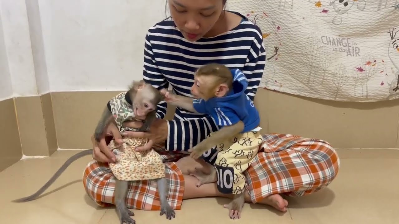 [ Omq..] Koy too much hrttt because jasmine be hrd with her 