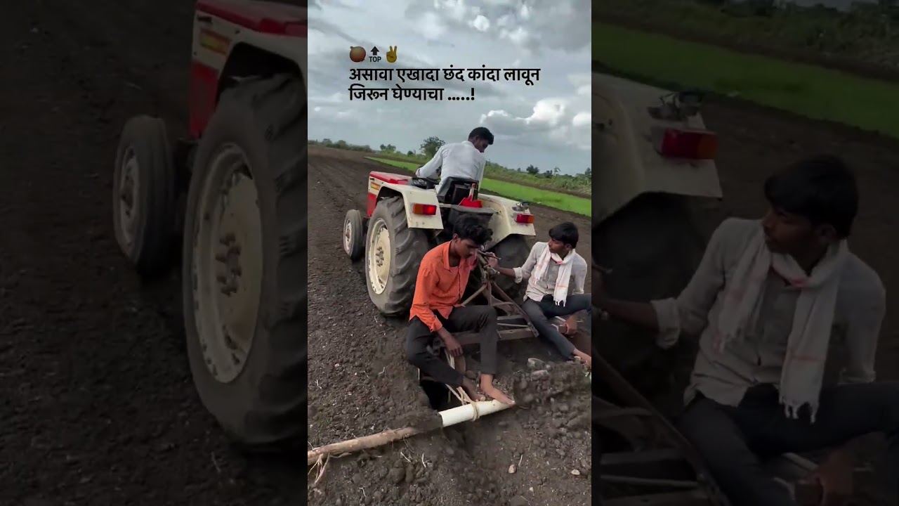 #Shetkari#Kisan#Farmer#Farming#Sugarcane#SugarPrice#शेतकरी#बळीराजा#ऊस#साखर#शेती#viral#shorts#farmer