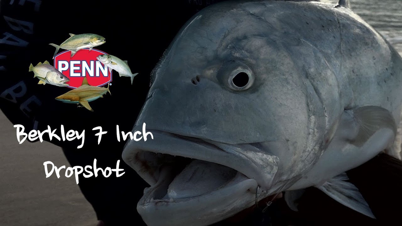 Berkley 7 inch Drop Shot Session