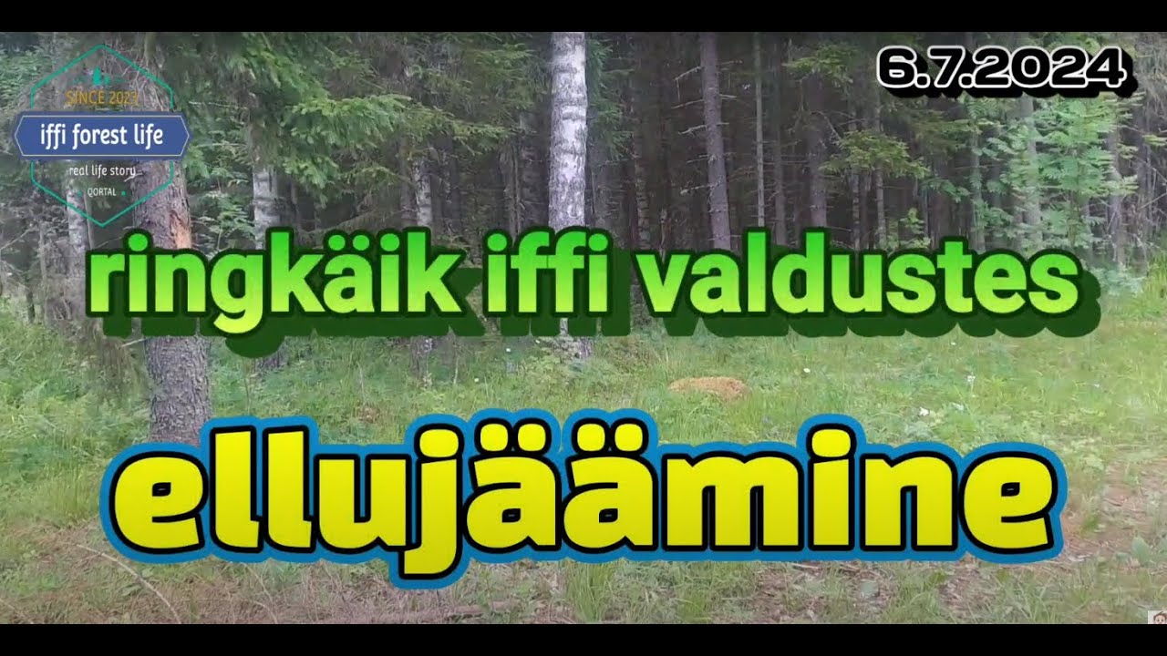 ülevaatlik ringkäik iffi valdustes - kuidas elu on edenenud vahepeal #foryou