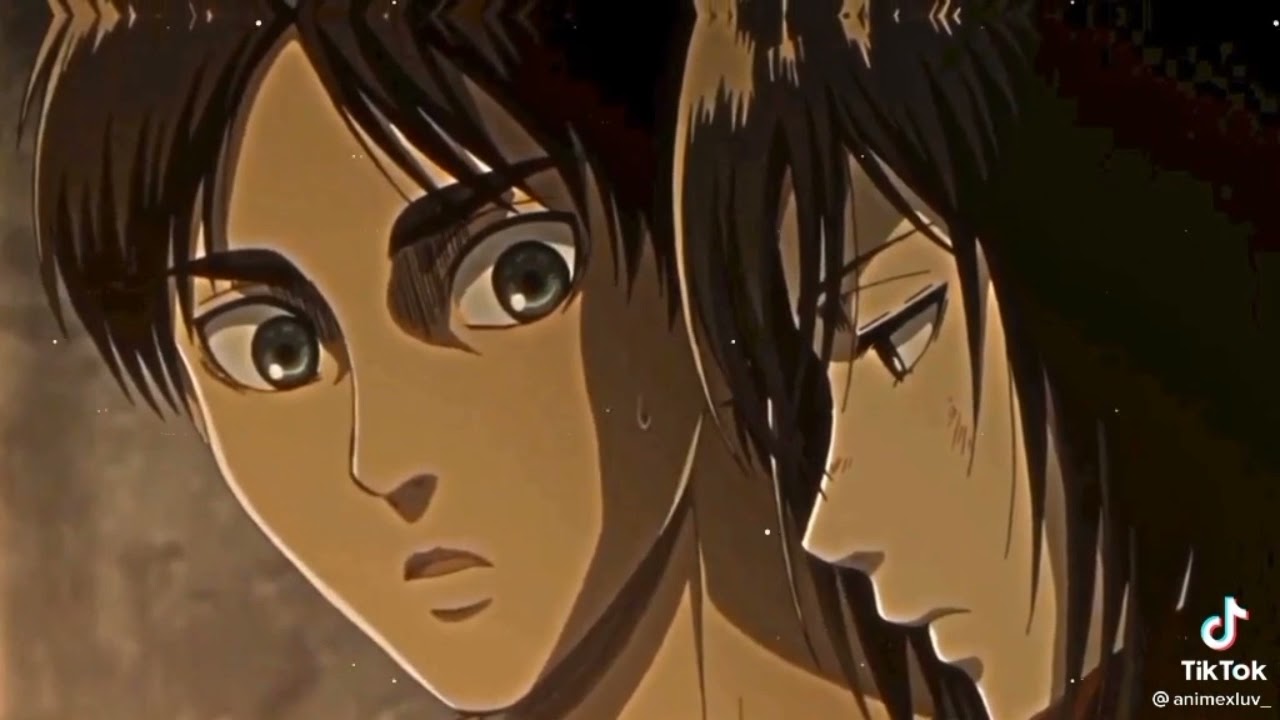 LeviHan TikToks ||aot||