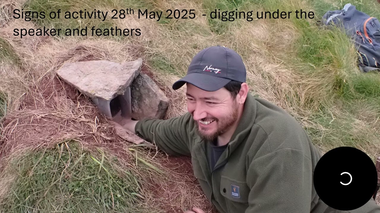 Steve Sutcliffe's Seabird dream for Caldey Island