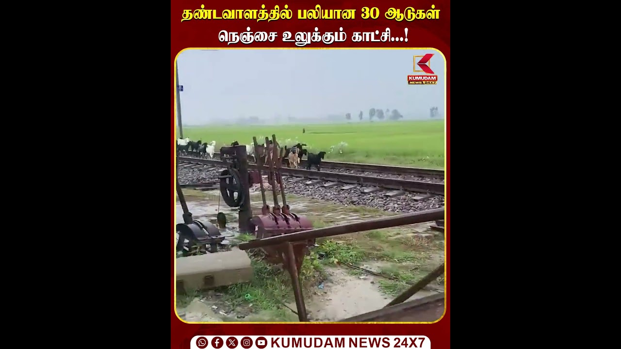 தண்டவாளத்தில் பலியான 30 ஆடுகள் நெஞ்சை உலுக்கும் காட்சி...! | Train Accident | Kumudam News
