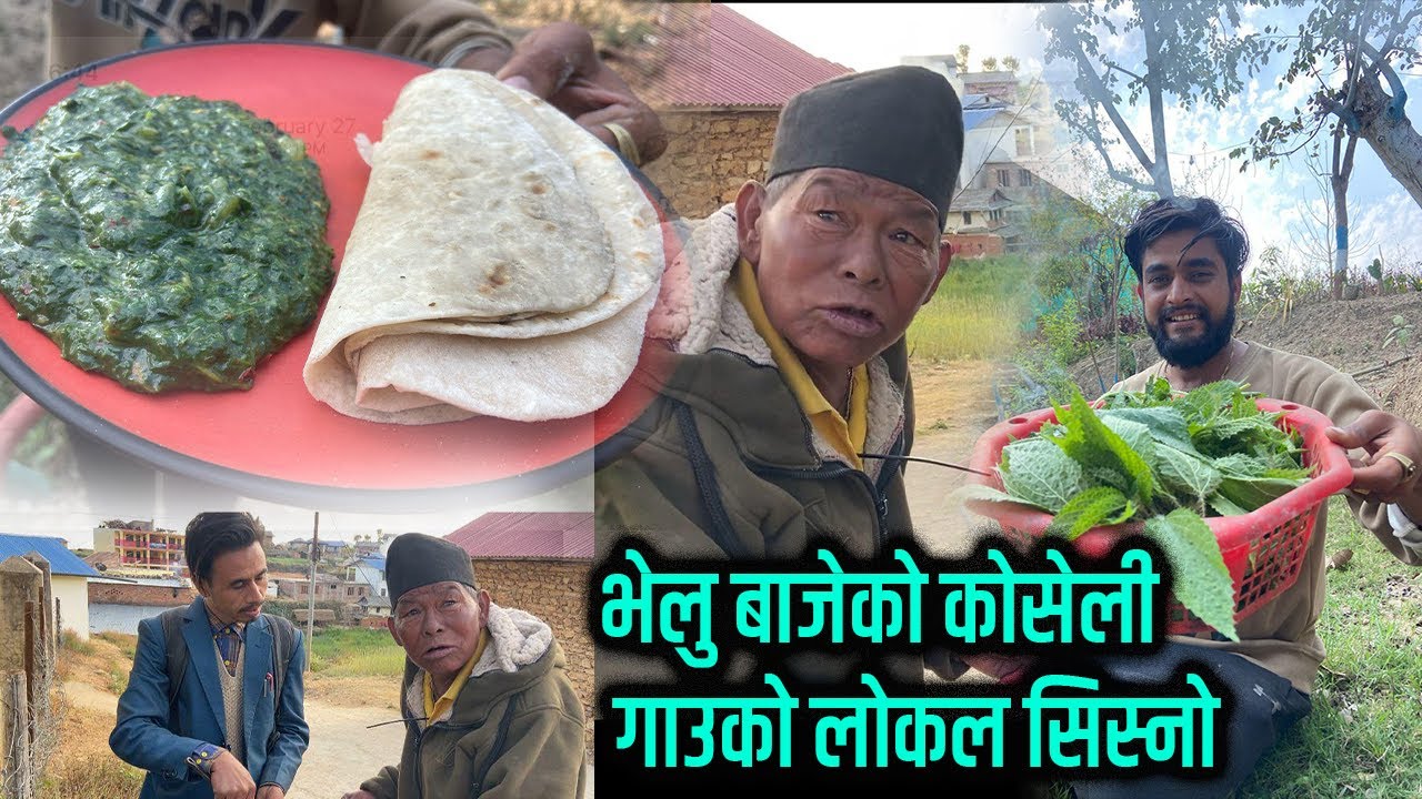 भेलु बाजेको कोसेली गाउको लोकल सिस्नो//Himesh Neaupane New Video