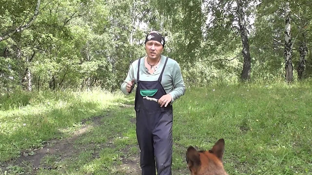 команда апорт