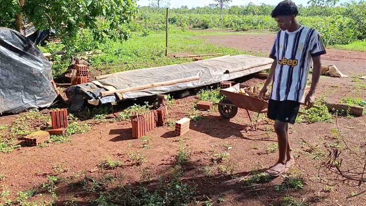 Parte 2, Nós organizando a frente do quintal/ Catamos os lixos e começamos a podar os pingos de ouro