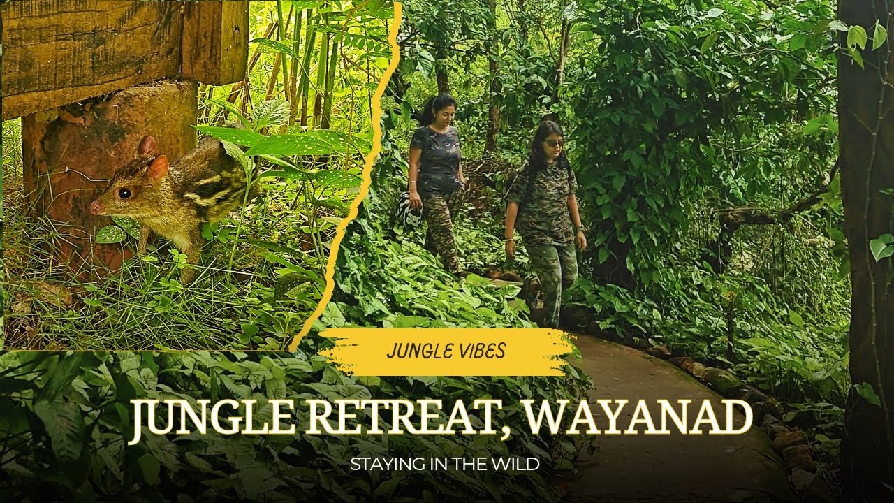 Wildlife Wonders at Jungle Retreat Wayanad 🐿️ | Mouse Deer, Giant Squirrel & Bird Watching | Part 3