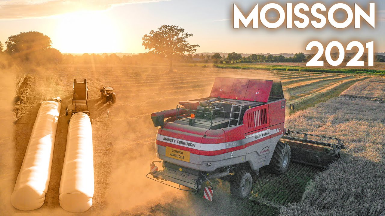 MOISSON/HARVEST 2021 - Ils mettent le bl&eacute; en boudin !🌾