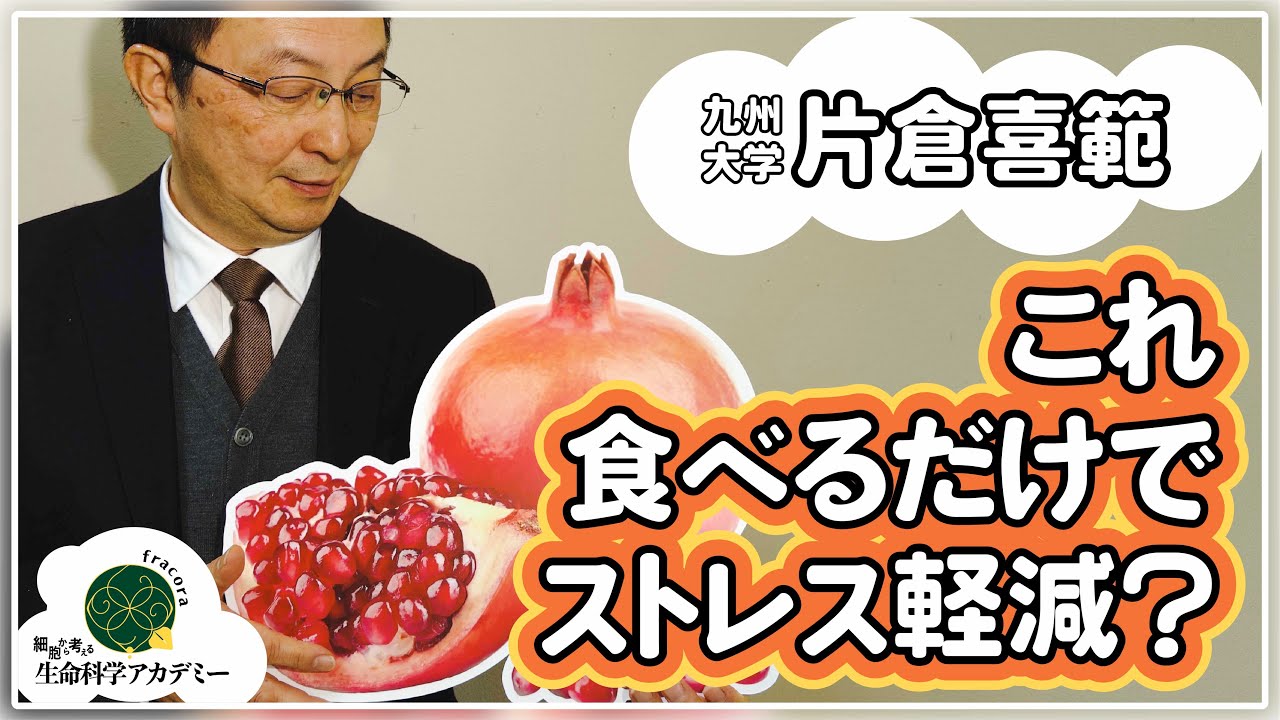 ストレスと老化　食べるだけでストレス軽減！？全身のアンチエイジングにも｜#04 九州大学 片倉喜範先生