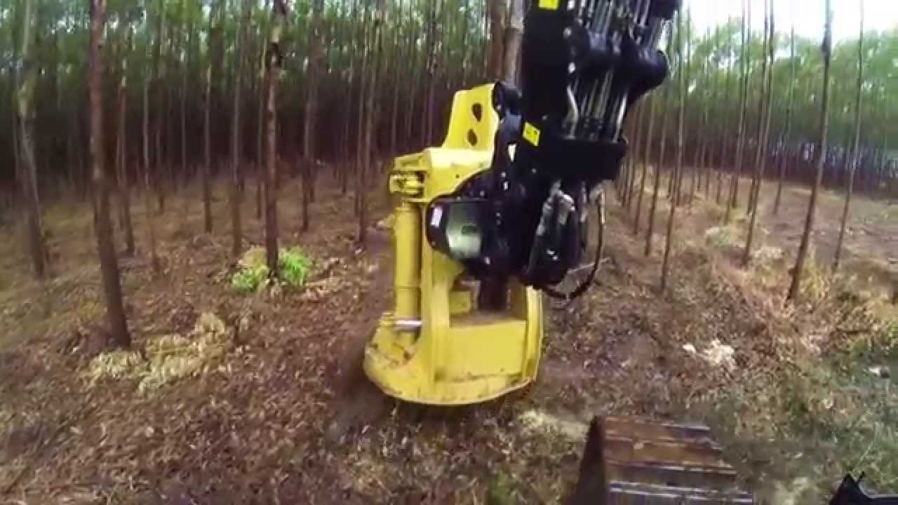 Feller Buncher Tigercat 860C