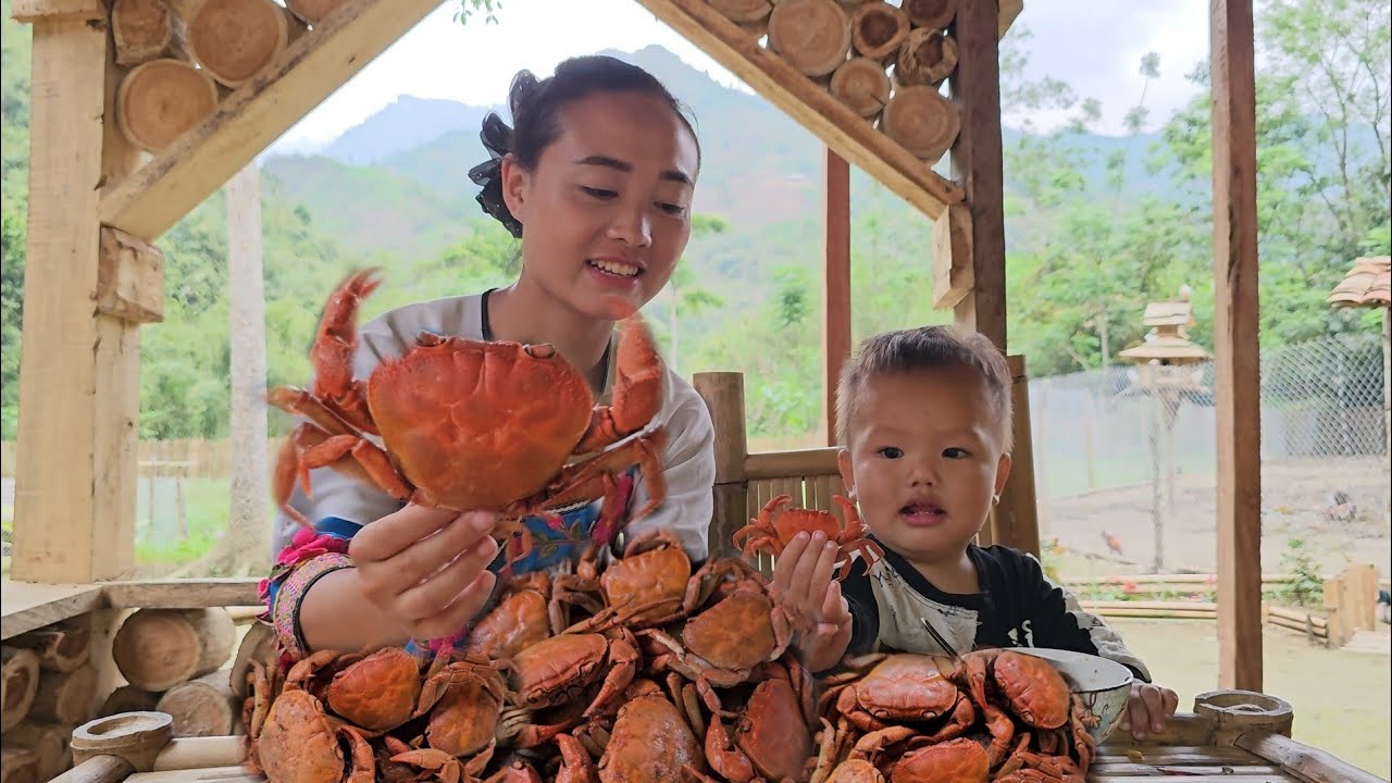 Catching and processing giant stream crabs, a 17-year-old single mother picks plums - anh hmong