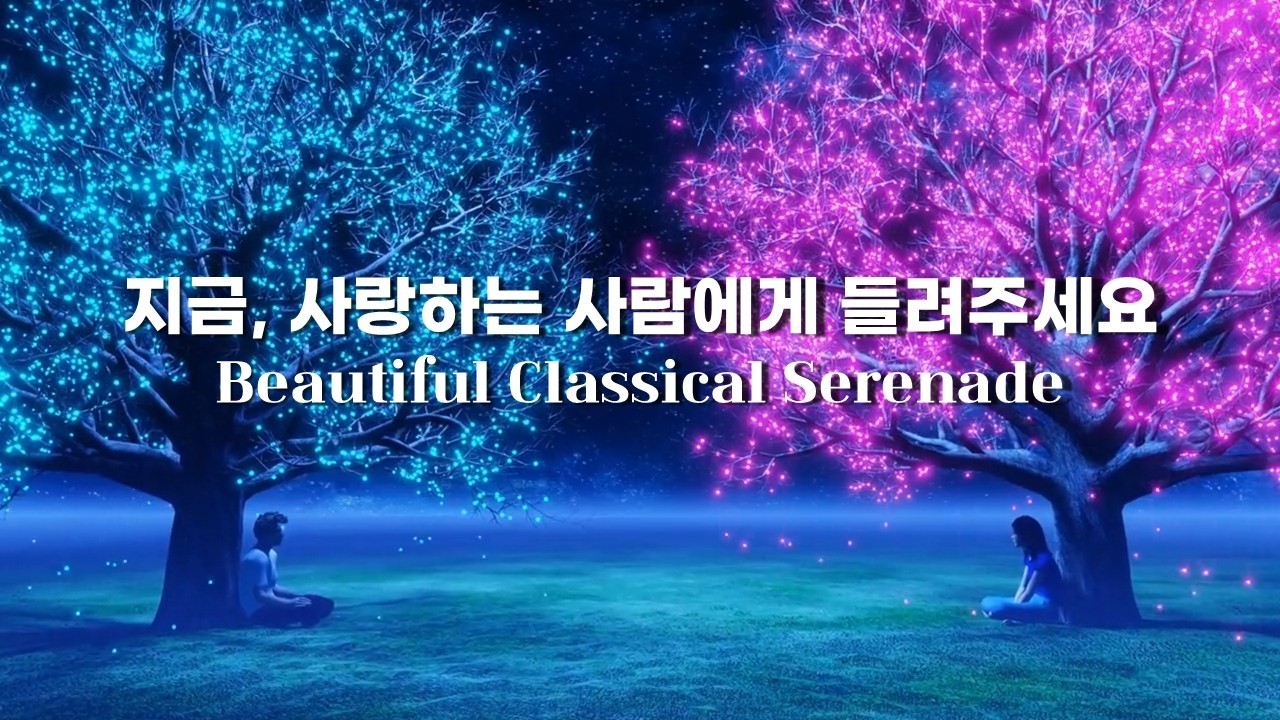 [Playlist] Beautiful Classical Serenade | 지금, 사랑하는 사람에게 들려주세요 | 밝고 아름다운 클래식 세레나데