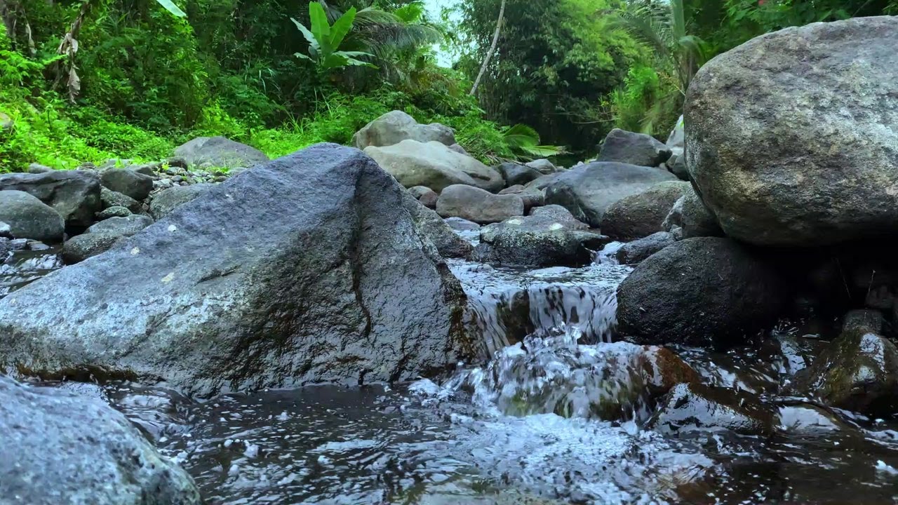 Relaxing River Flow for Stress Relief | Peaceful Water Sounds for Sleep