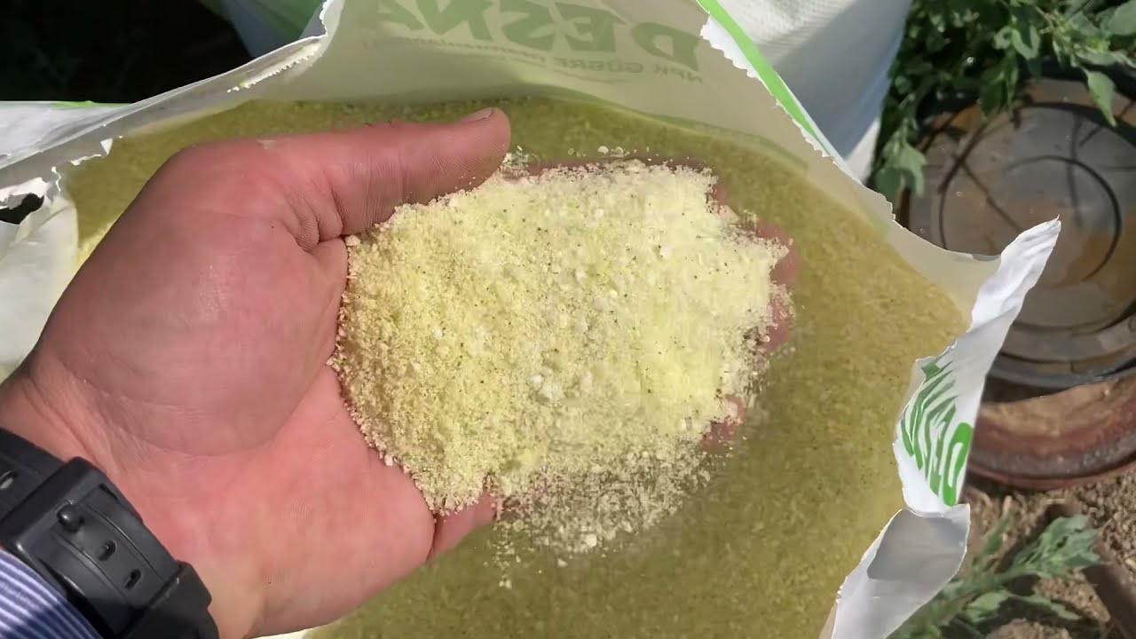 Mısırlara Potasyum Veriyorum