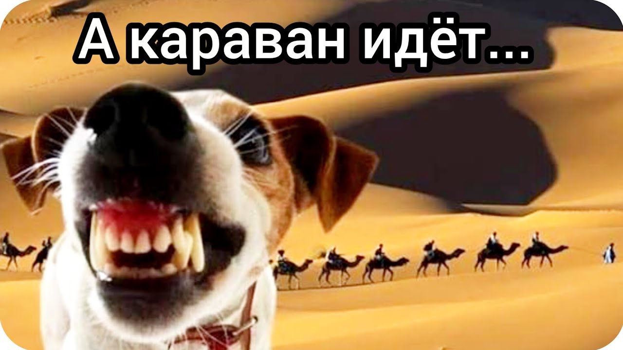 Сегодня в  интернете был пик трешака)) самое время сыграть  на контрасте!