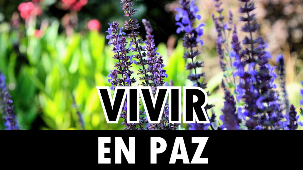 Cómo Vivir en la Paz y Dejar los Juicios - Un Curso de Milagros