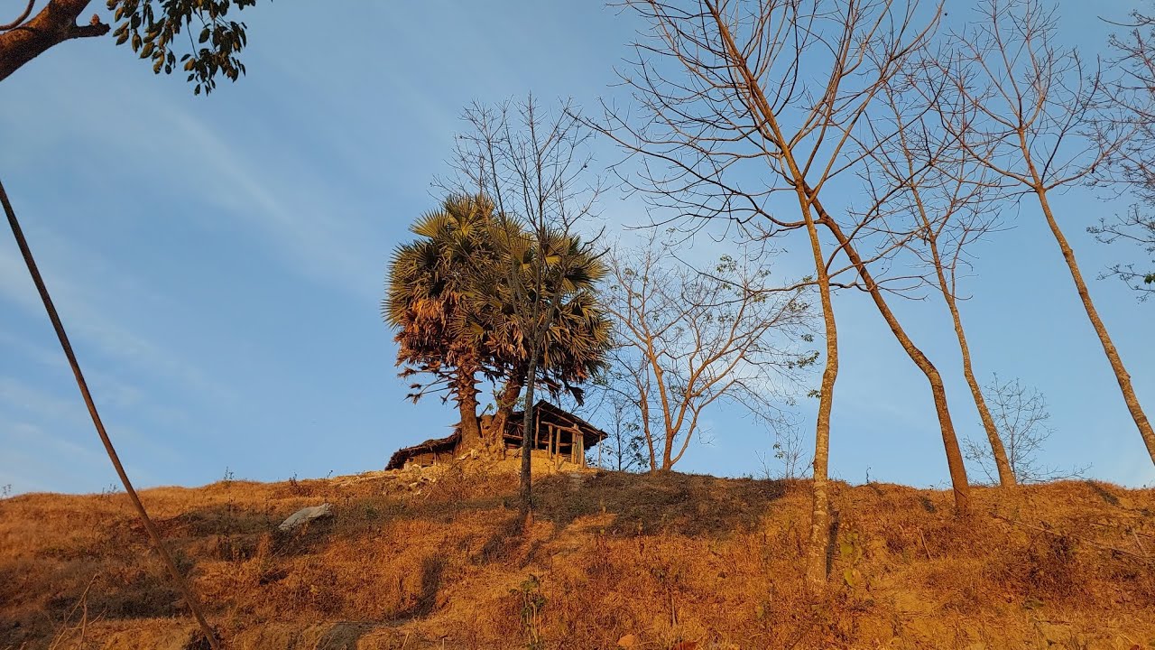 নতুন রিসোর্ট। এখানে আছে ঝিরি আরো আছে বাঁদর এবং হাতি। 