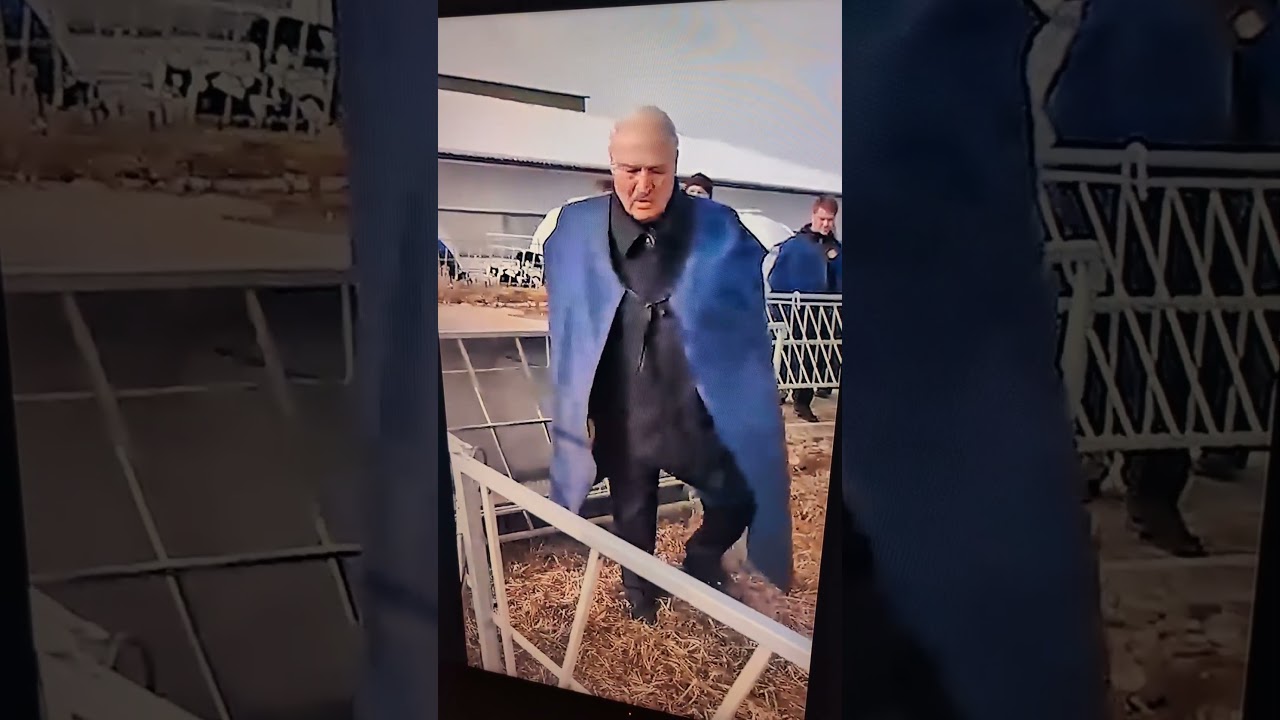Вилы мне принеси! #belarus #farming #agriculture