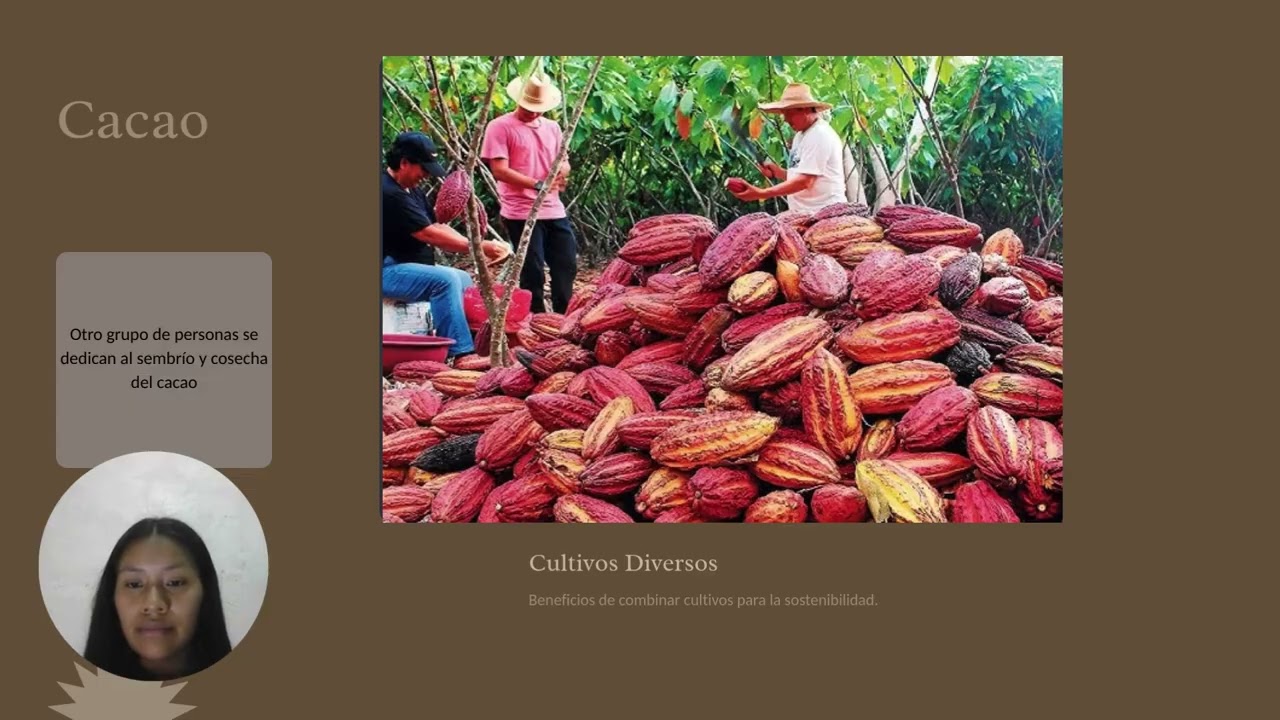 Desarrollo Sostenible Económico de la Parroquia Shuar Pastaza Chuwitayo